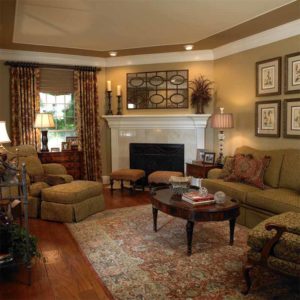 brown traditional living room example