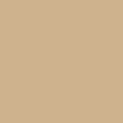 Sherwin Williams SW 7697 Safari, gold beige undertone, choosing the right exterior house color
