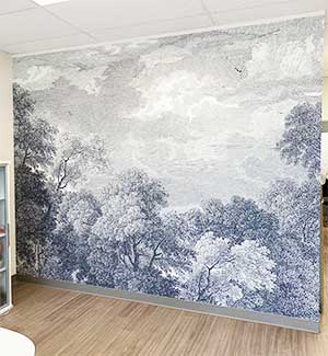 anthropologie-etched-arcadia-mural-wallcovering-in-san-antonio-paper-moon-painting-company-office