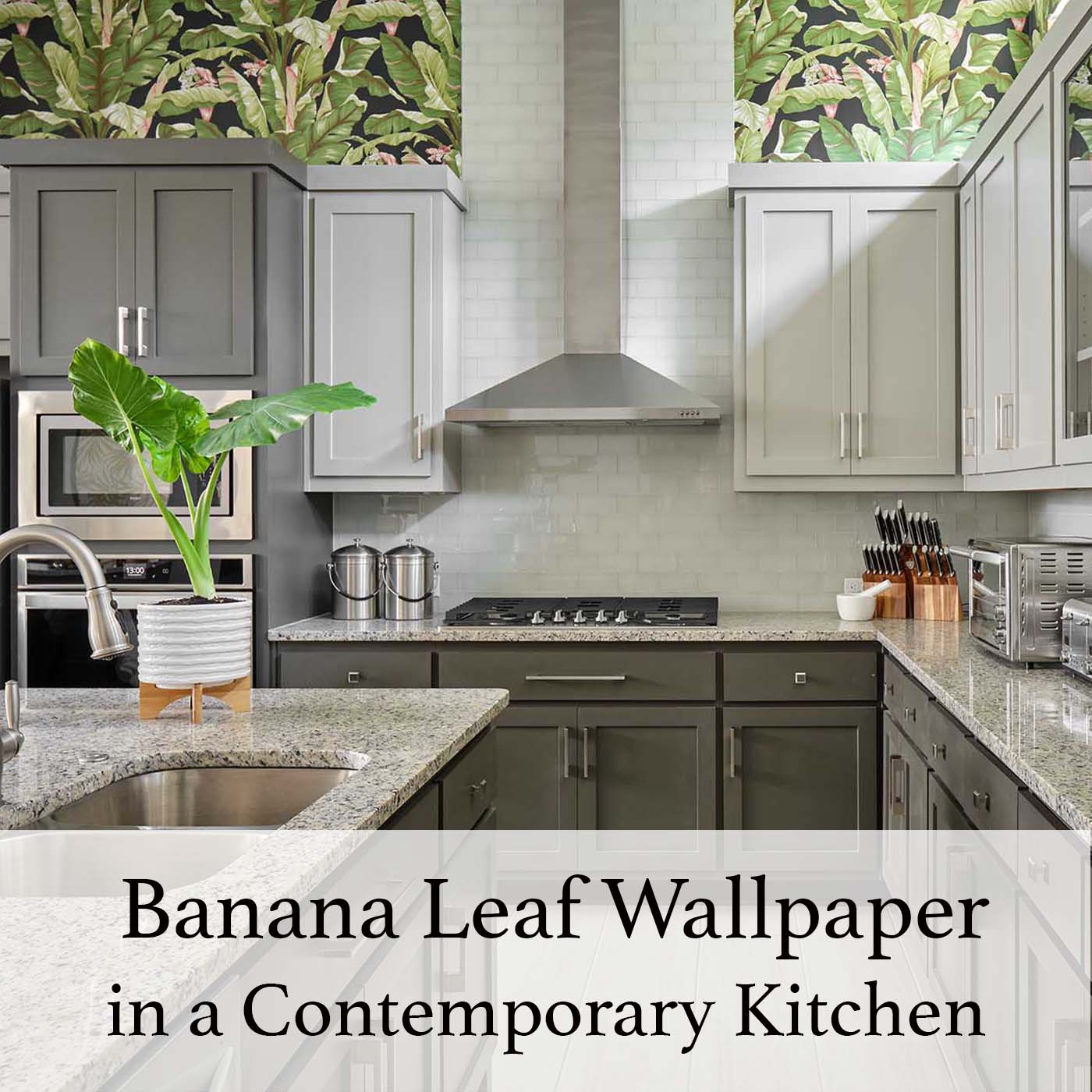 banana-leaf-wallpaper-in-a-contemporary-kitchen-blog